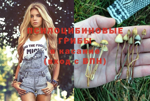 MESCALINE Верея