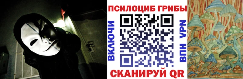 Галлюциногенные грибы Cubensis  Оса 
